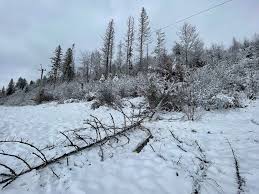 Внаслідок негоди на Львівщині постраждали майже пів сотні населених пунктів