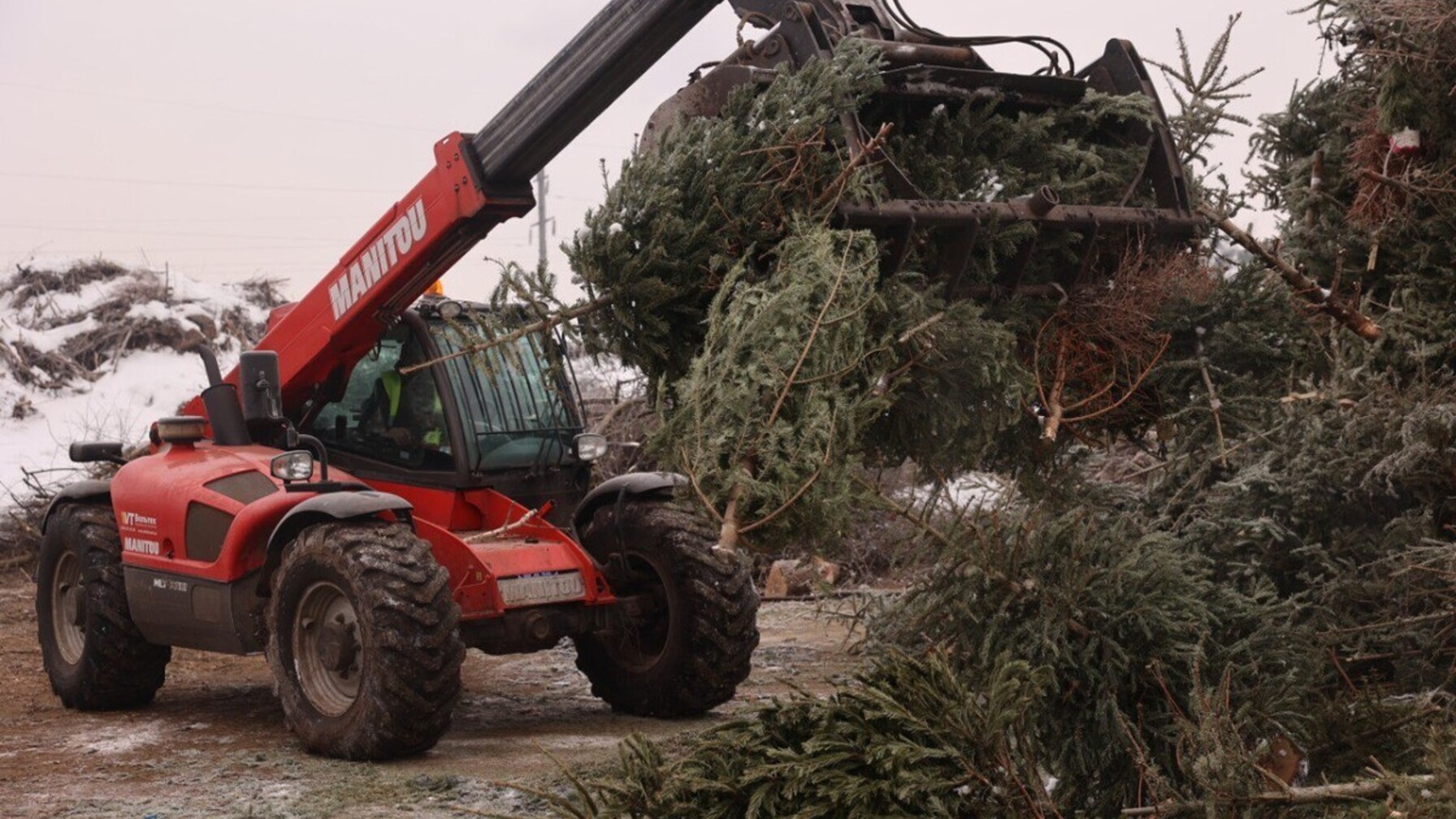 На міську станцію Львова привезли вже 10 тонн хвої