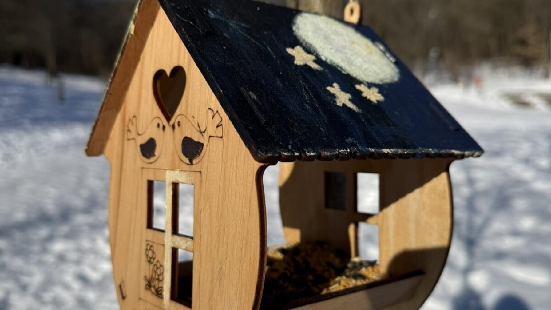 Львів’ян закликають підгодовувати птахів у морози: що класти в годівнички і чого уникати