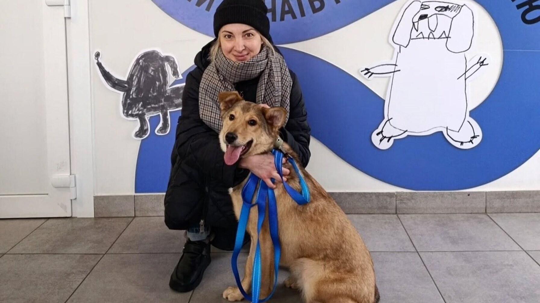 У січні знайшли домівки для 24-х тварин з ЛКП “Лев” (ФОТО)