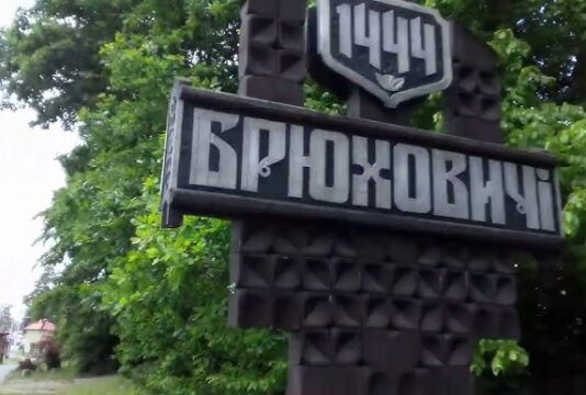 Понад 14 гектарів Брюховицького лісу можуть забудувати: громада збирає підписи проти вирубки