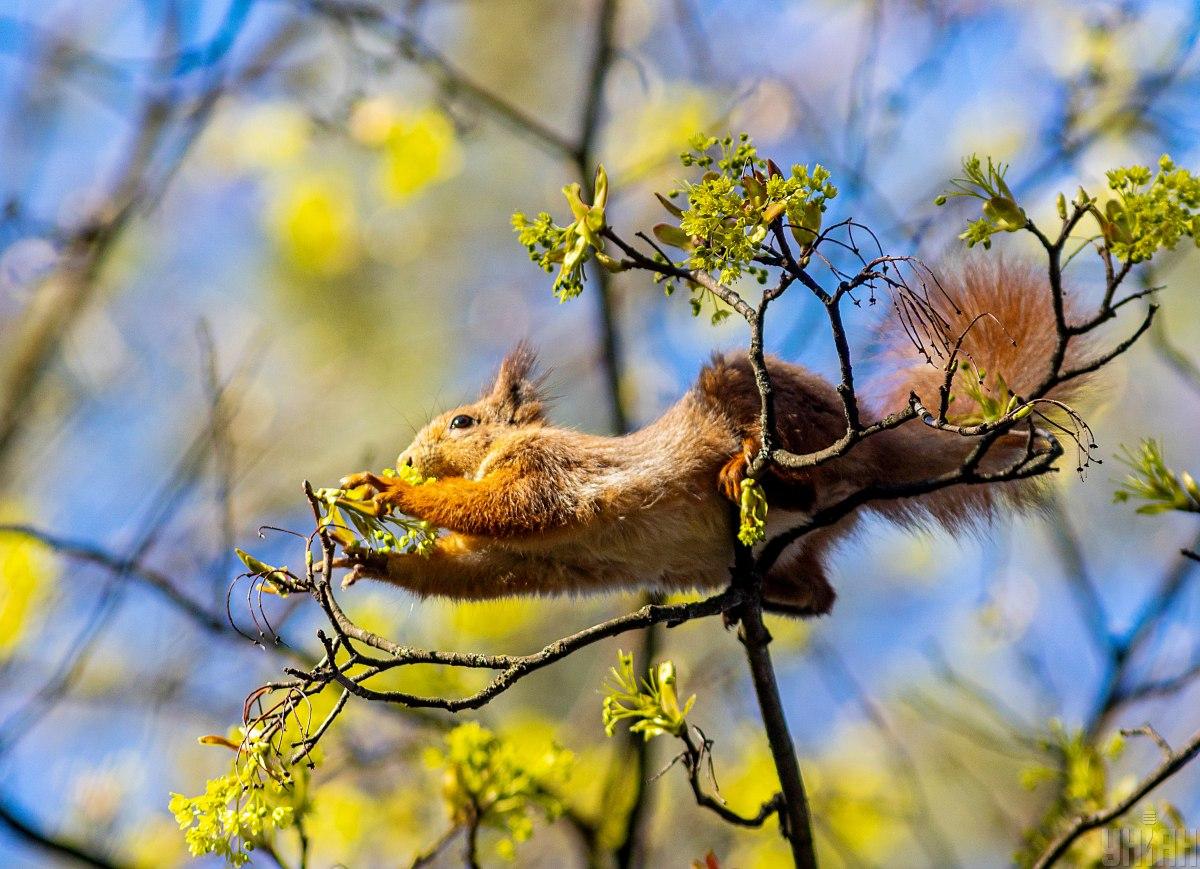 Весна на Львівщині стартує з сонця і тепла
