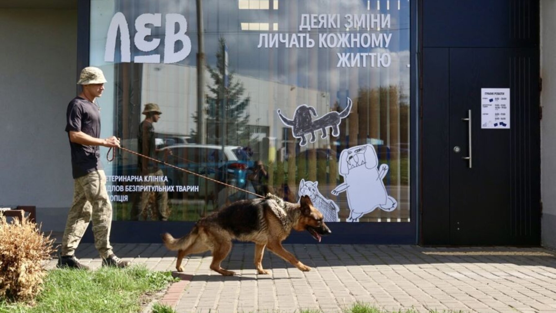 ЛКП “Лев” запрошує небайдужих вигулювати собак: як долучитися