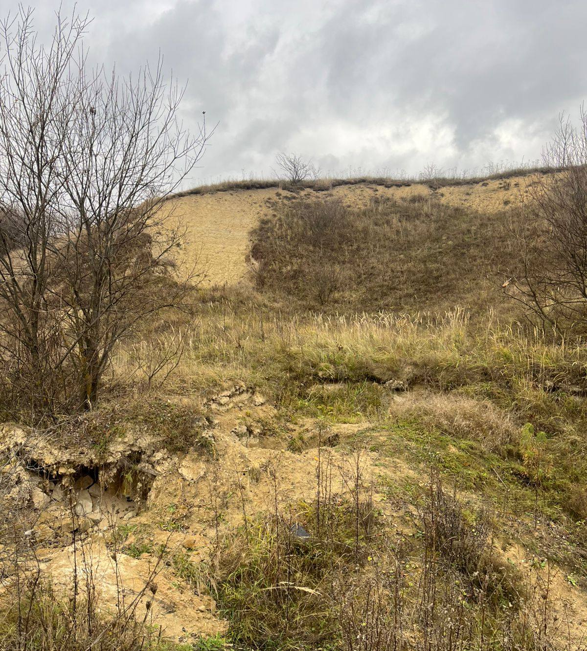 Вкрав піску на 48 тисяч гривень: на Яворівщині викрили незаконний видобуток біля лісу