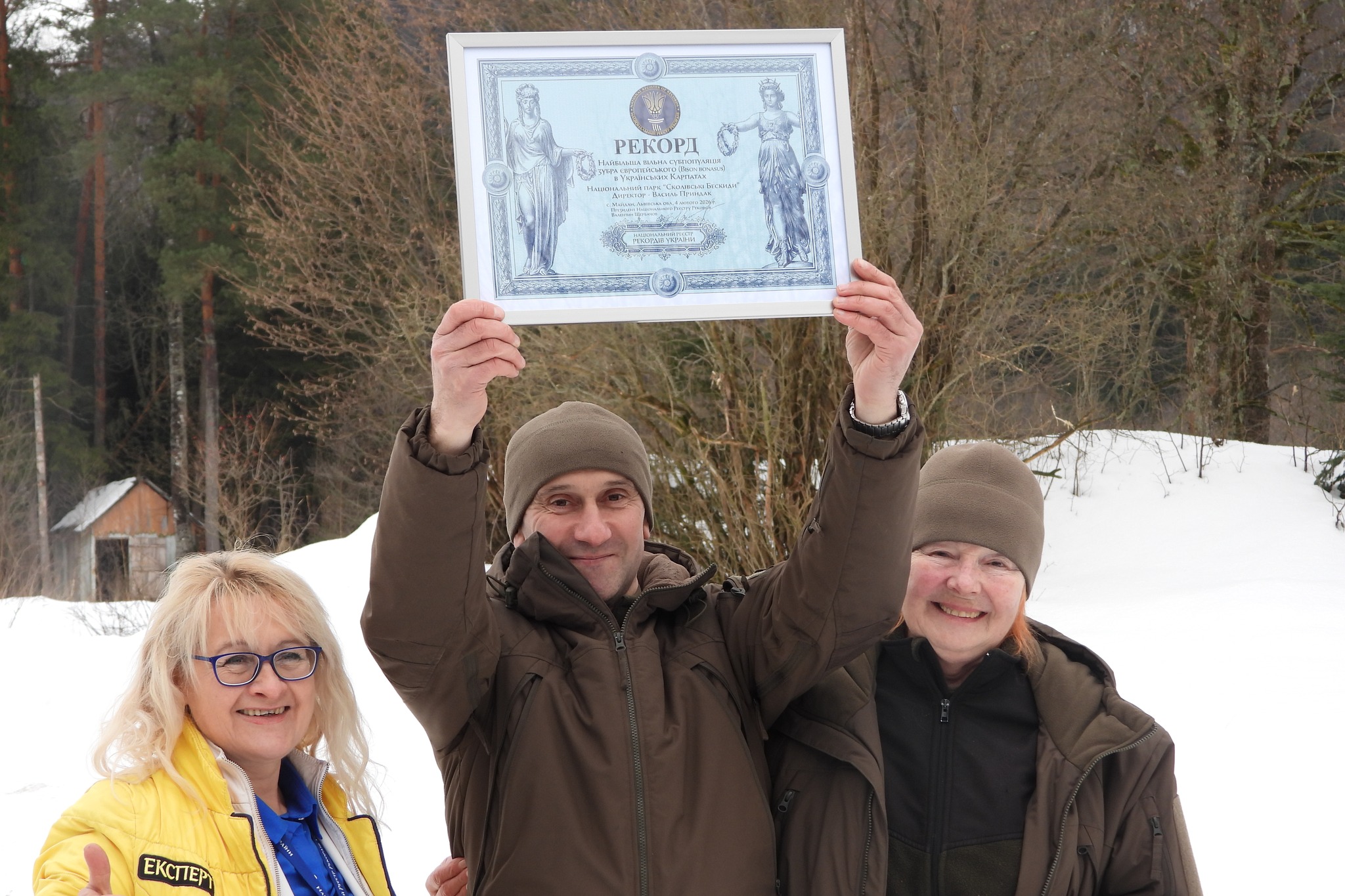 У “Сколівських Бескидах” встановили рекорд за чисельністю зубрів у Карпатах