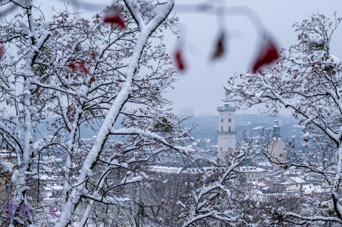 Сніг, мороз та туман: погода у Львові та області 18 лютого