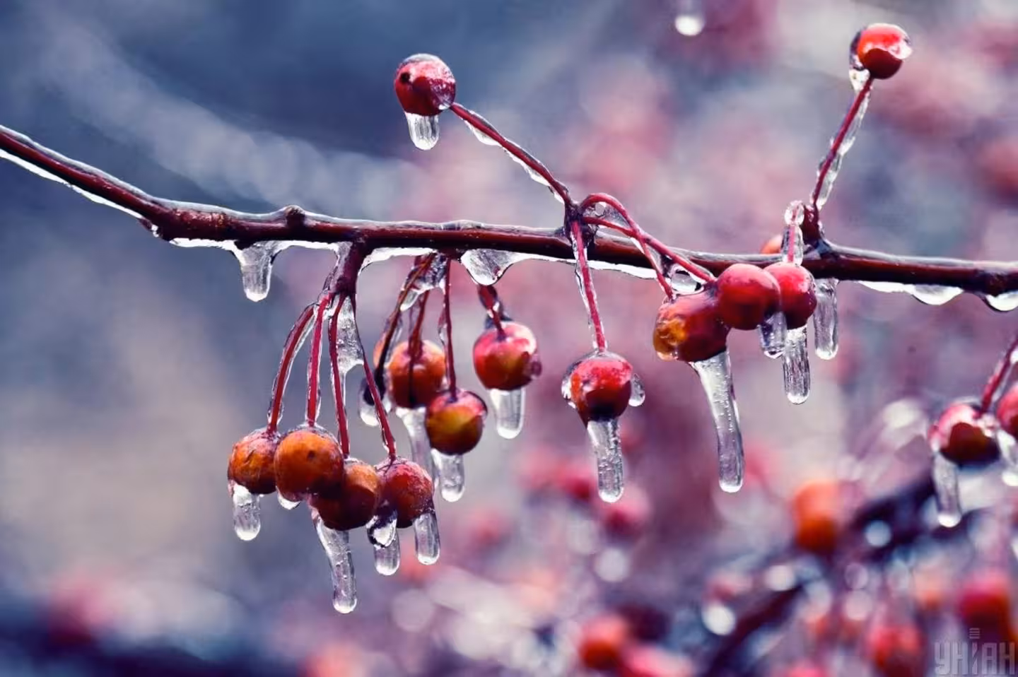 Туман, ожеледиця та нічні морози: прогноз погоди на 10 лютого у Львівській області