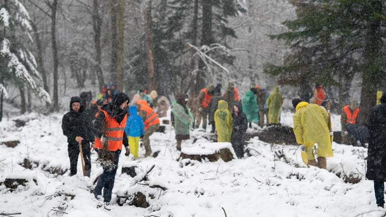 Бригада «Чорний ліс» висадить тисячі дубів біля Дрогобича