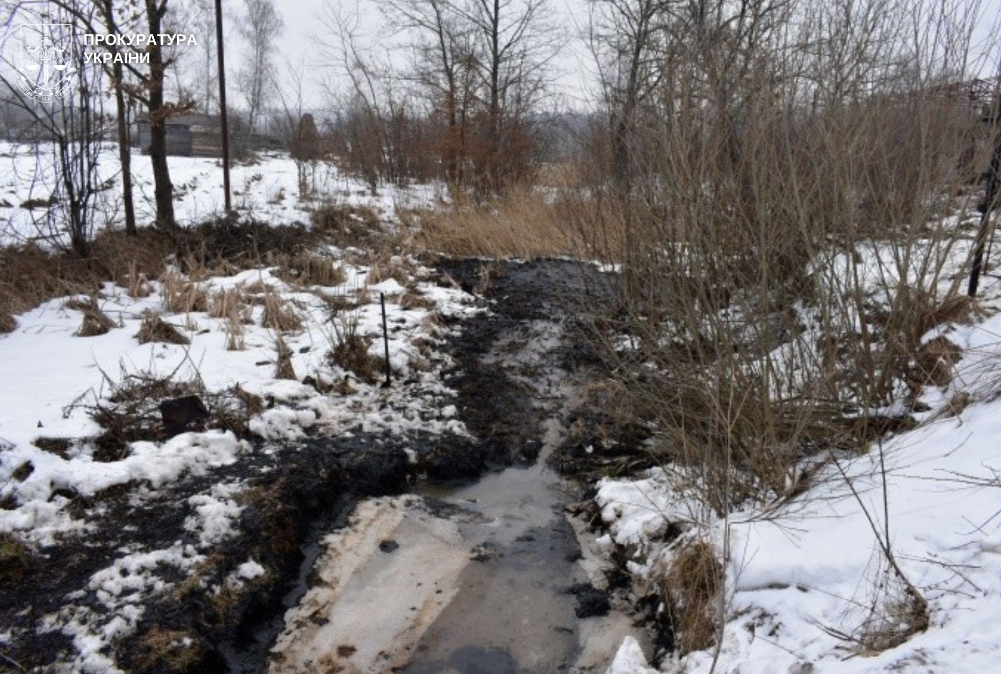 На Дрогобиччині розслідують масштабне забруднення земель нафтою: деталі