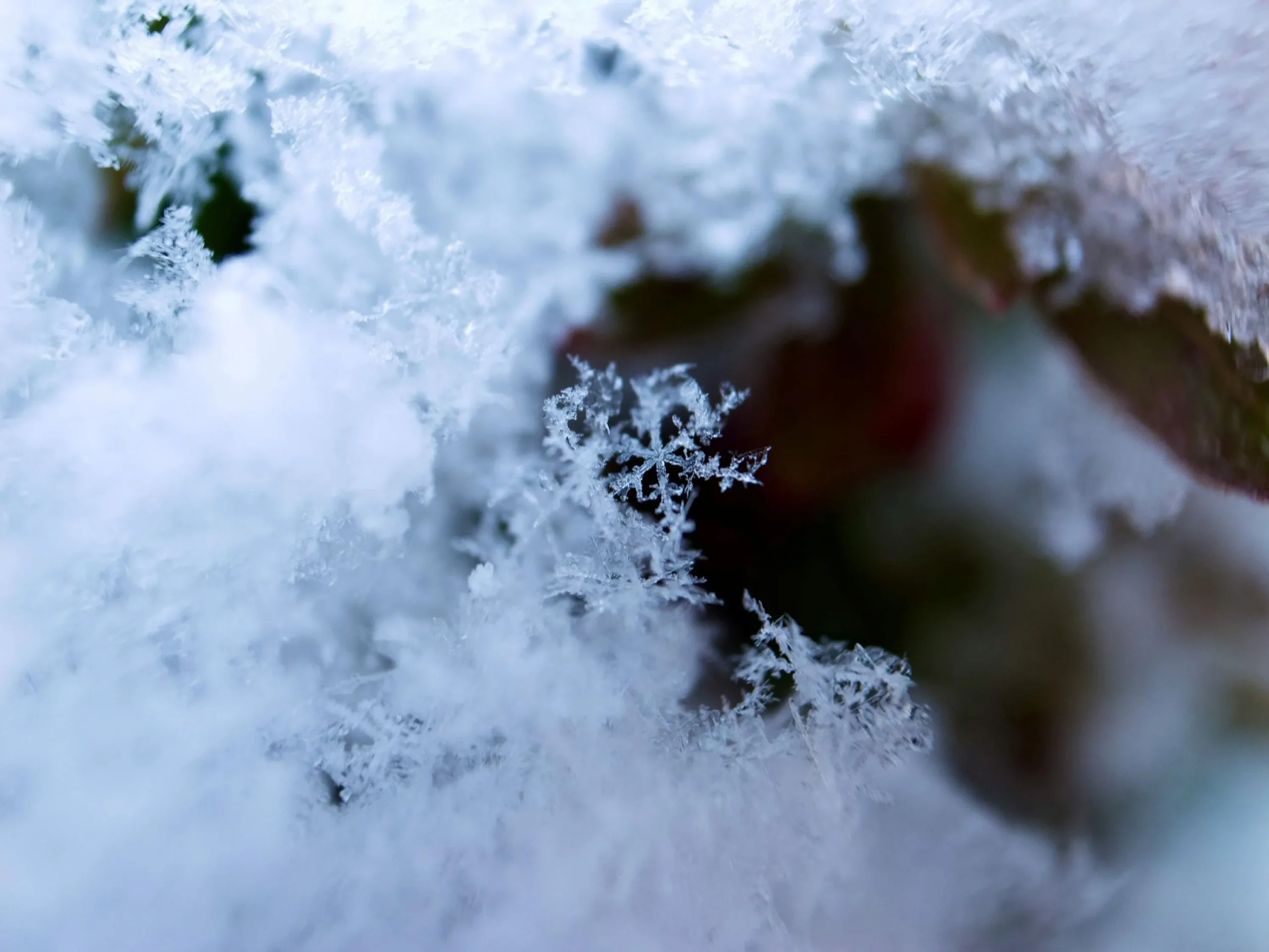 Синоптики прогнозують нічні морози до -17° завтра на Львівщині