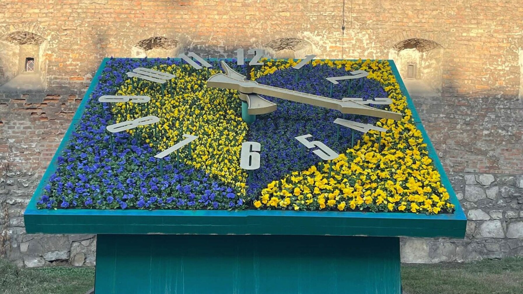 У центрі Львова розквітли синьо-жовті композиції: що ще готує місто (ФОТО)