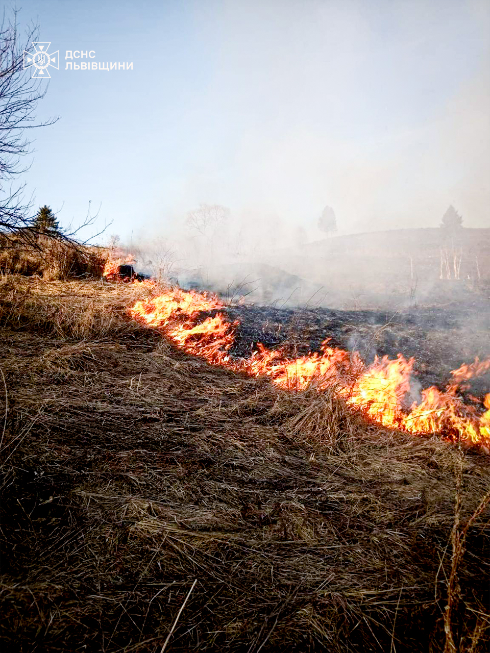 18 пожеж сухостою за добу на Львівщині: рятувальники нагадують про штрафи