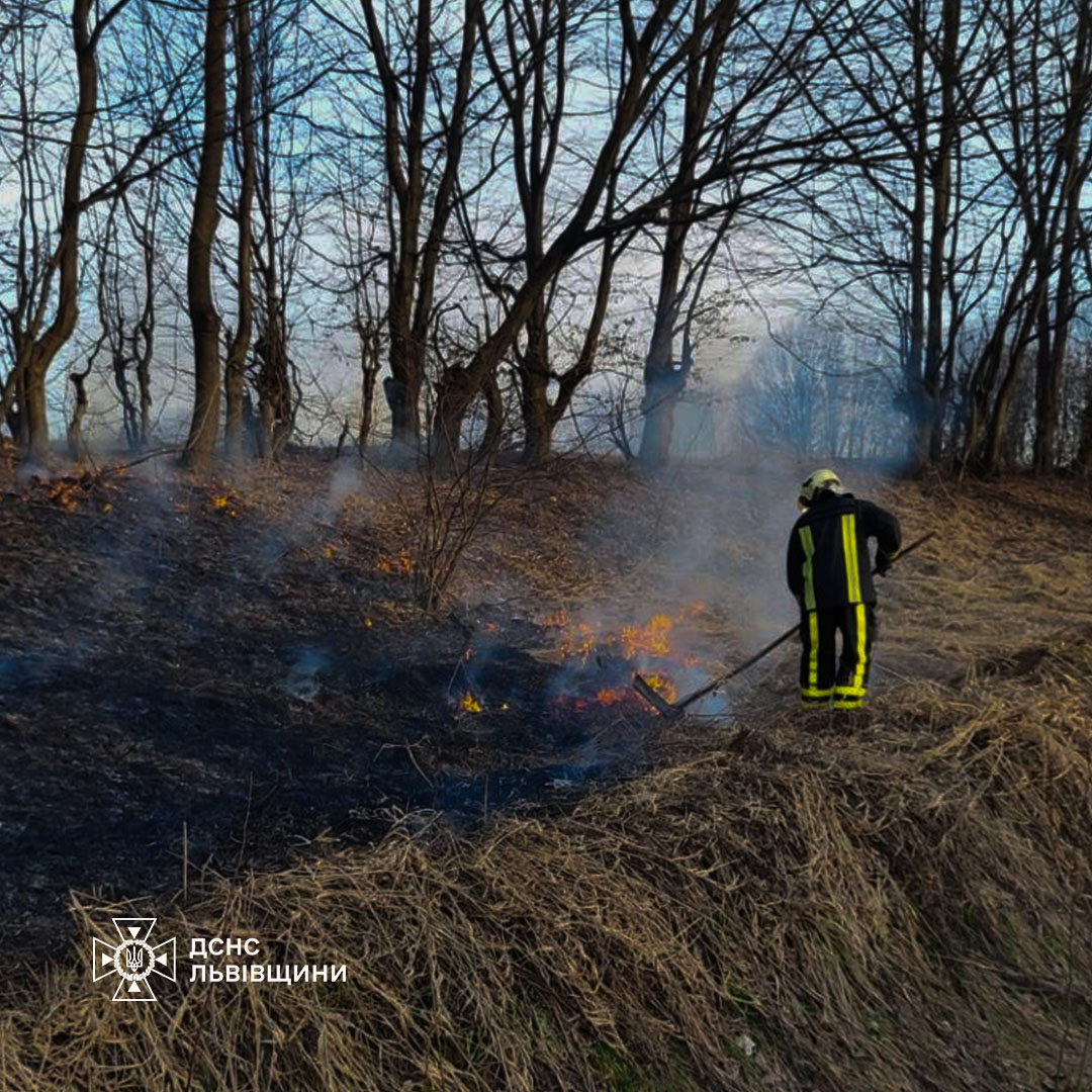 Через підпали сухостою на Львівщині за добу вигоріло понад 2700 кв. м території