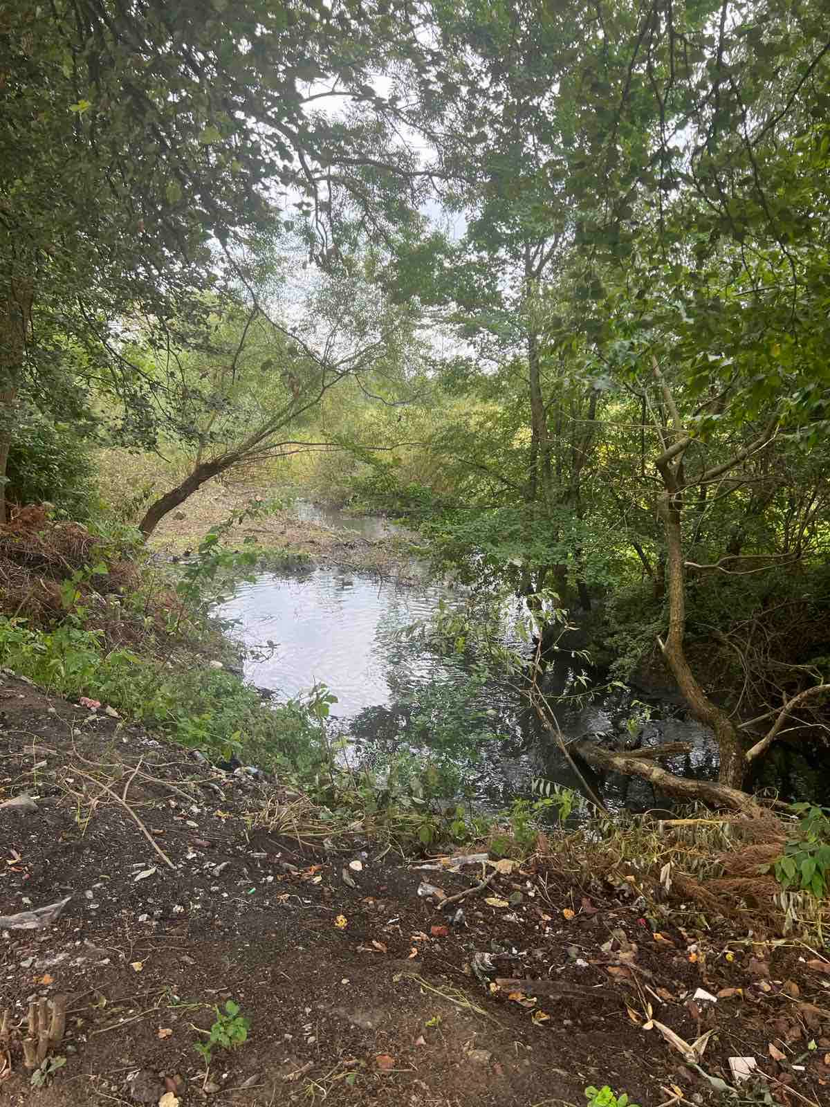 Чотири населені пункти Львівської громади готують до очищення річок