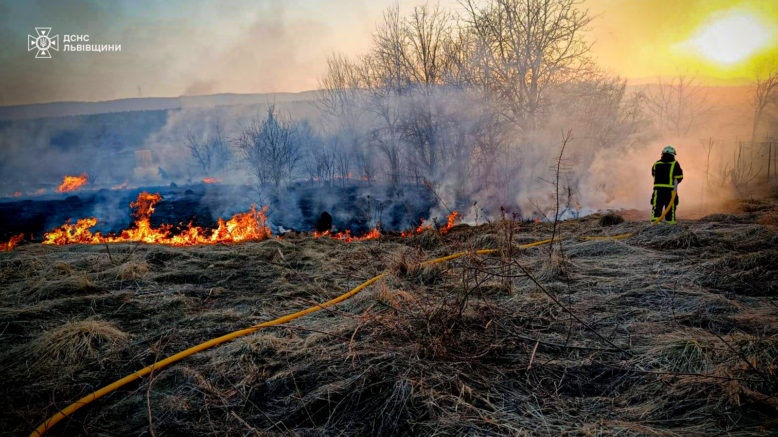 119 пожеж за одну суботу: рятувальники показали наслідки підпалів сухої трави на Львівщині (ФОТО)