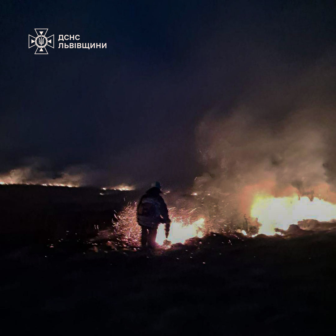 Понад 2 гектари вигоріло: рятувальники ліквідовували десятки пожеж на Львівщині
