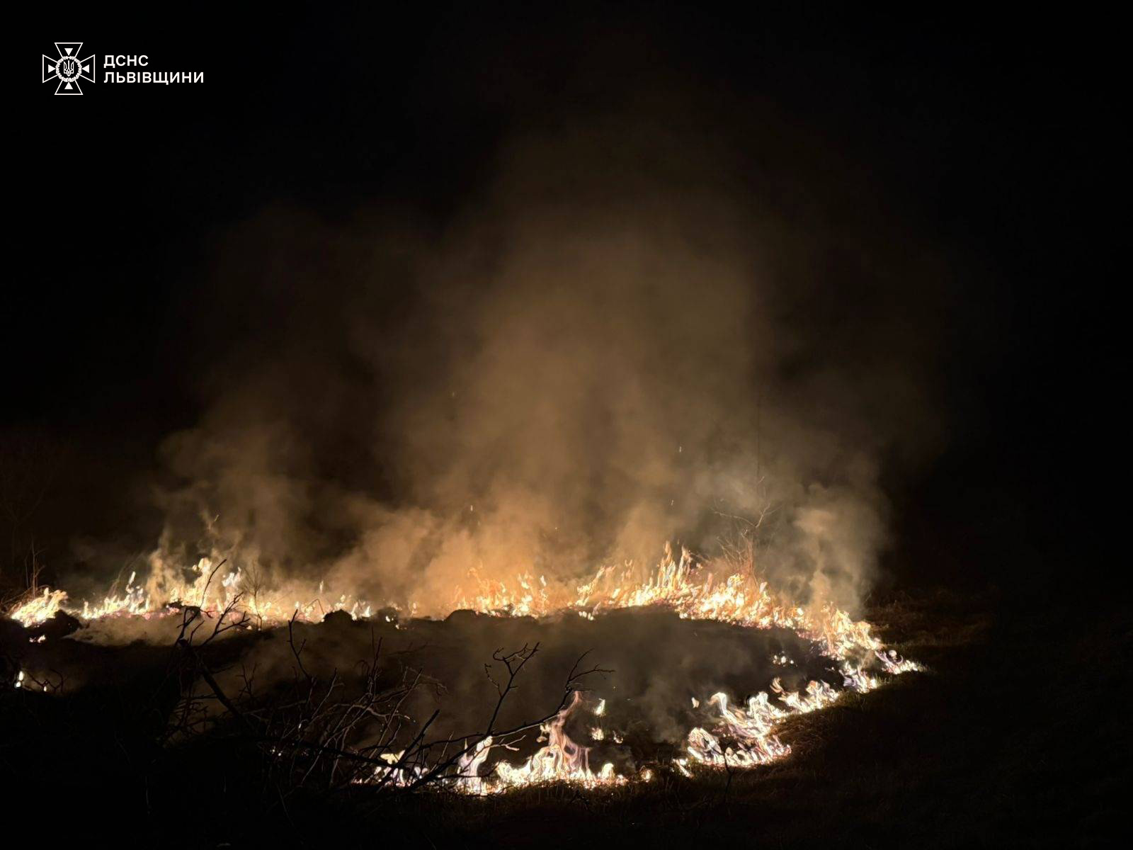 За добу на Львівщині відбулося 27 пожеж, з них 21 – в екосистемах