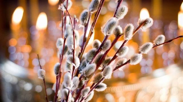 У Гарнізонному храмі Львова стартувала акція “Благодійна верба”