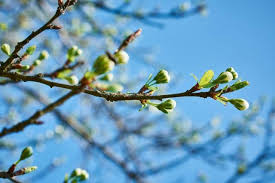 Синоптики розповіли, яку погоду завтра очікувати на Львівщині