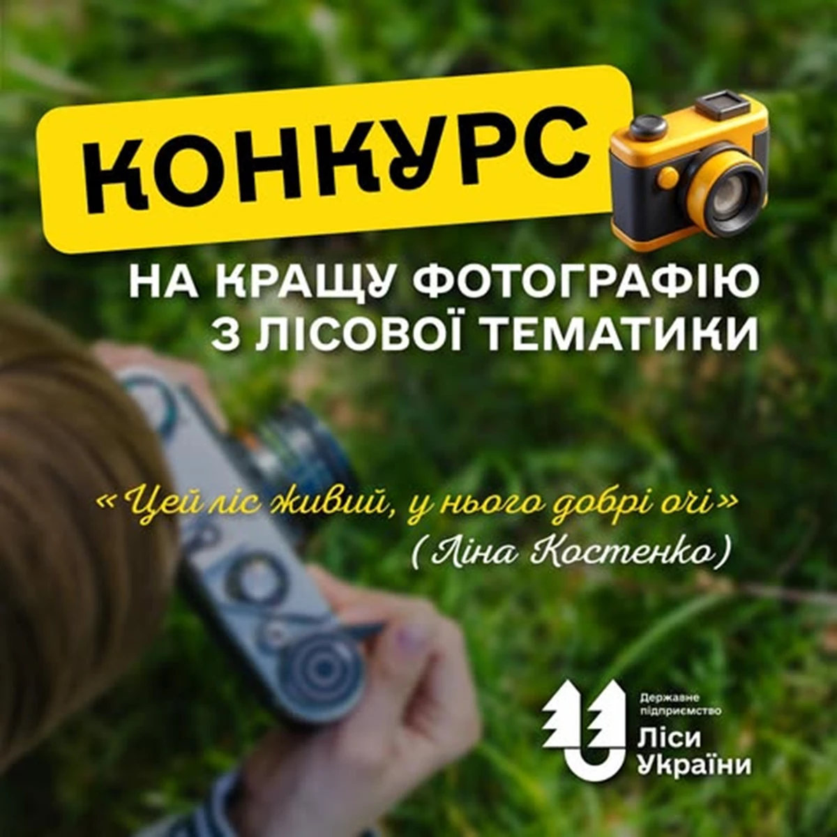 Молодь Львівщини запрошують показати красу лісу: стартував всеукраїнський фотоконкурс