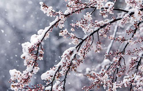 Морози повертаються? Синоптики розповіли, яку погоду очікувати завтра на Львівщині