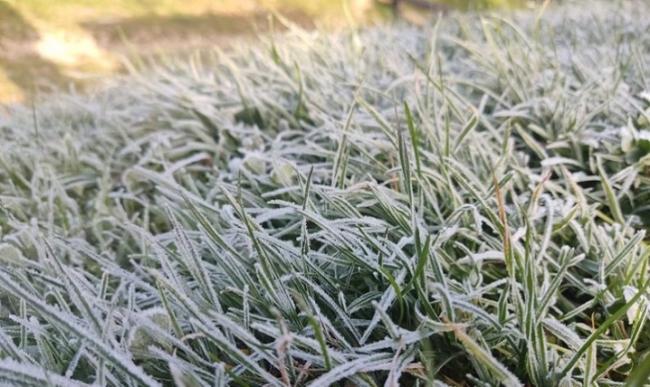 Заморозки та пориви вітру: якою буде погода 24 квітня на Львівщині