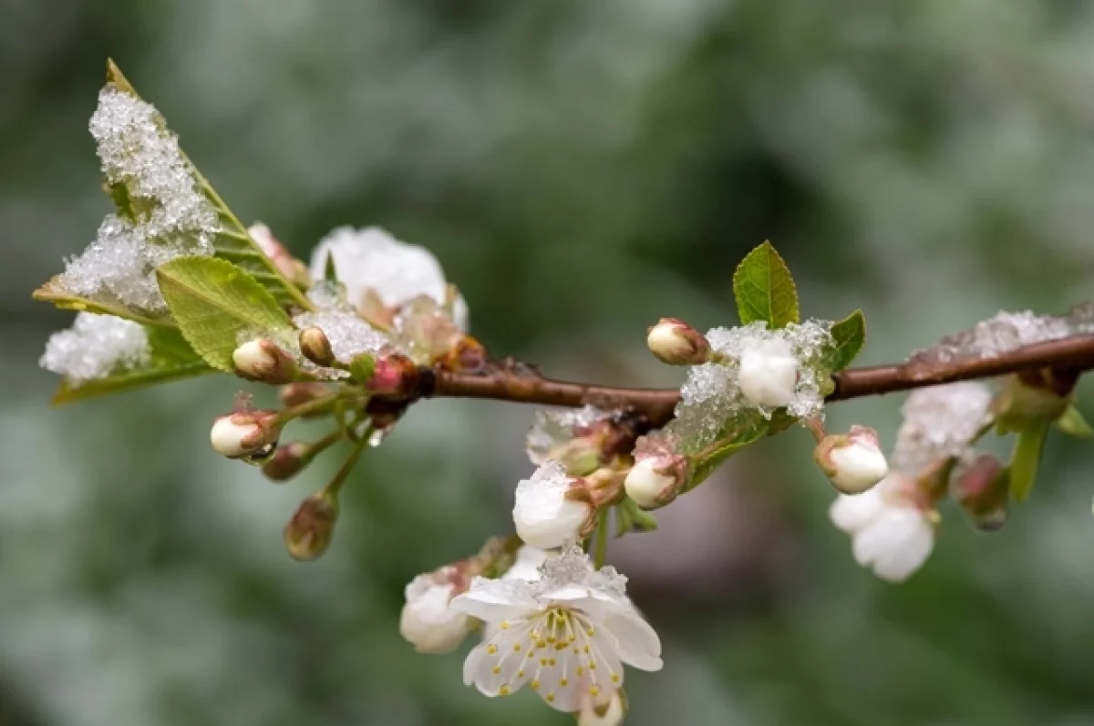 Синоптики розповіли, якою буде погода на Обливаний понеділок