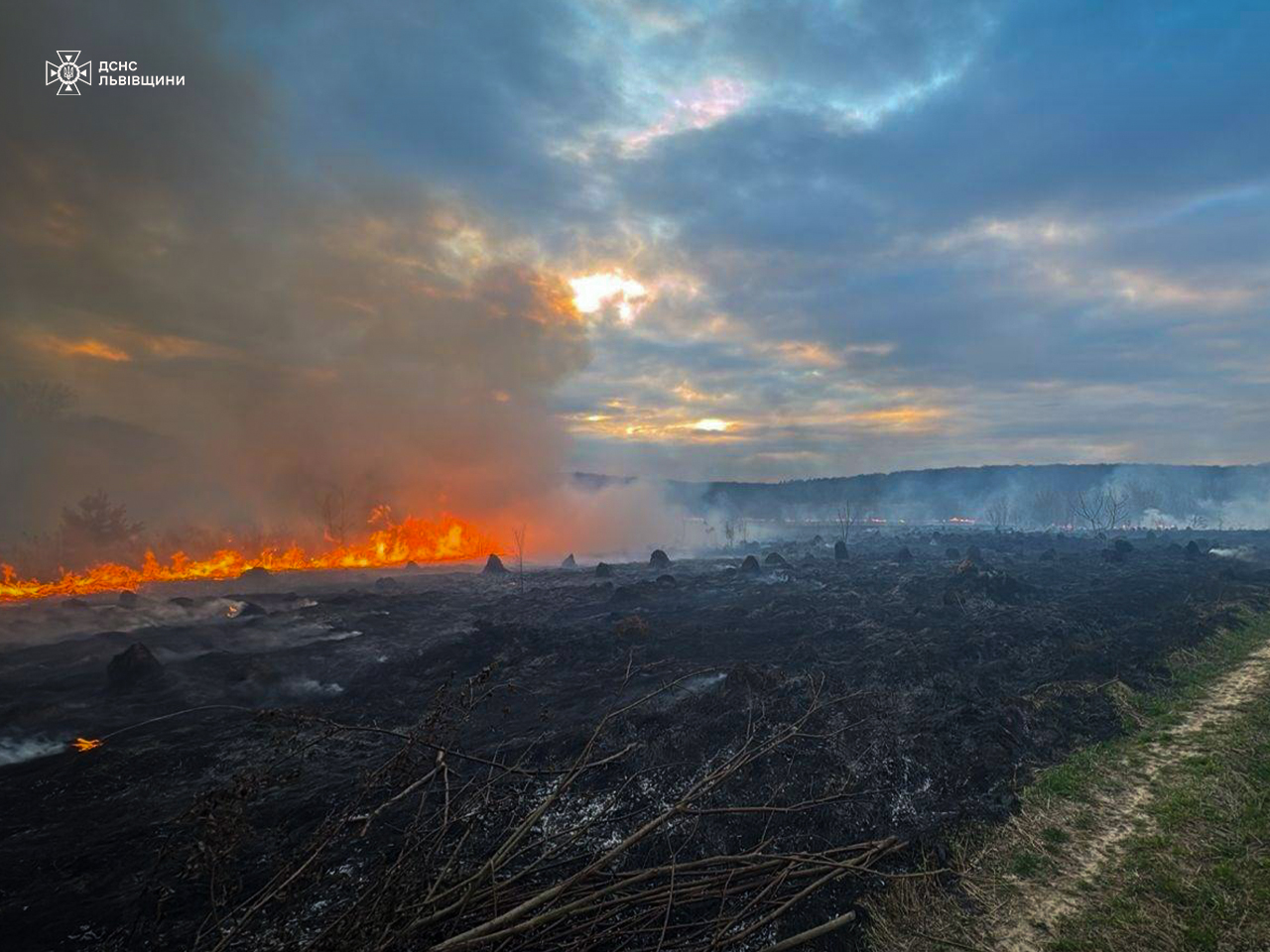 Понад 2 гектари вигоріло: в області фіксують десятки пожеж