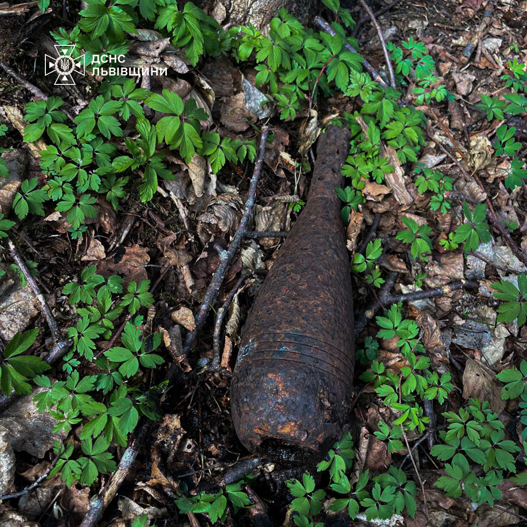 У лісі на Львівщині знайшли міну часів Другої світової війни (ФОТО)