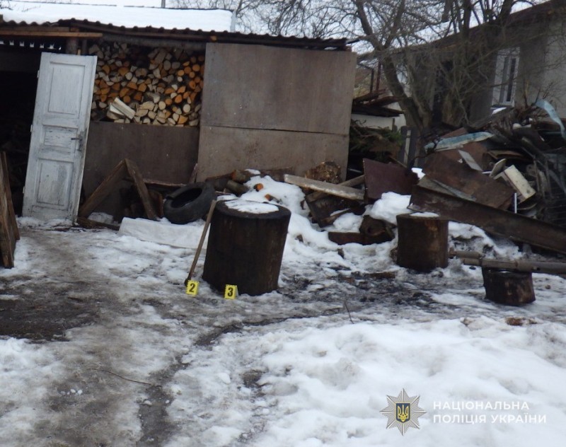 На Львівщині чоловікові оголосили підозру за жорстоке вбивство кота