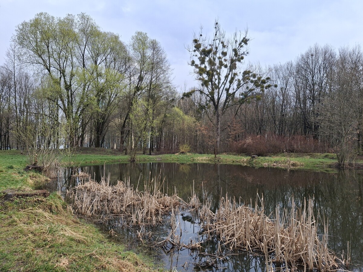 У львівському парку Архангела Михаїла розпочали капітальний ремонт
