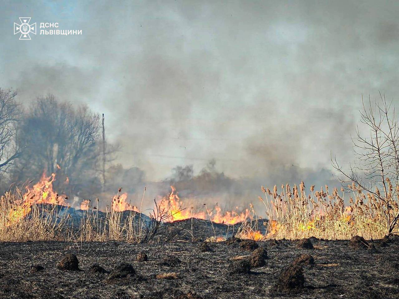 Більше 2000 пожеж з початку року: на Львівщині зростає кількість трагедій