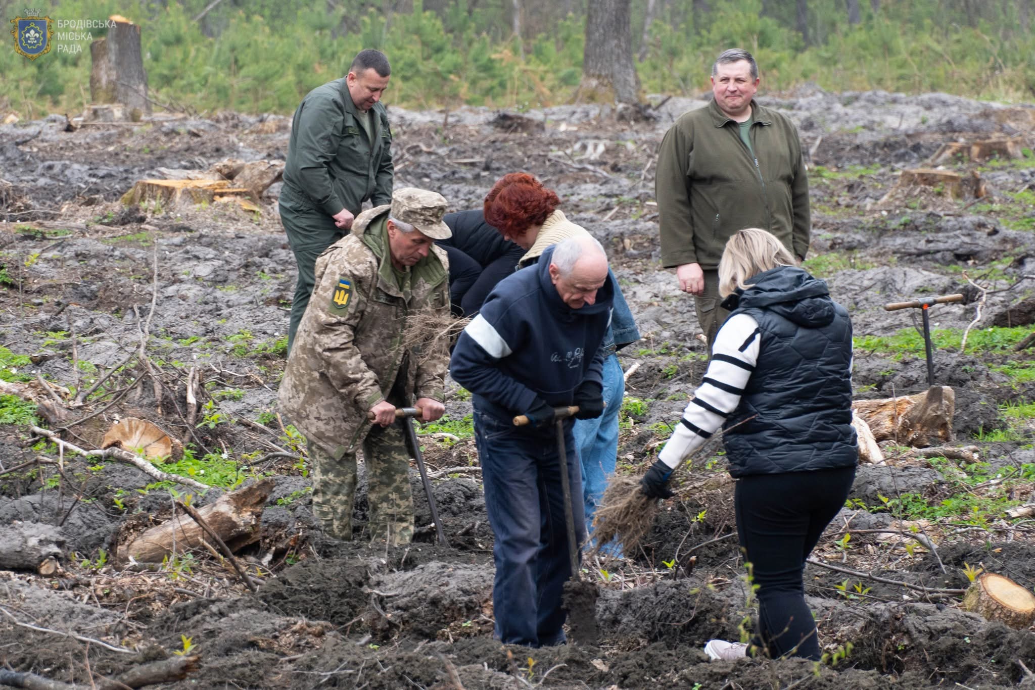 На Бродівщині висадили гектар дубового лісу в пам’ять про загиблого воїна-лісівника