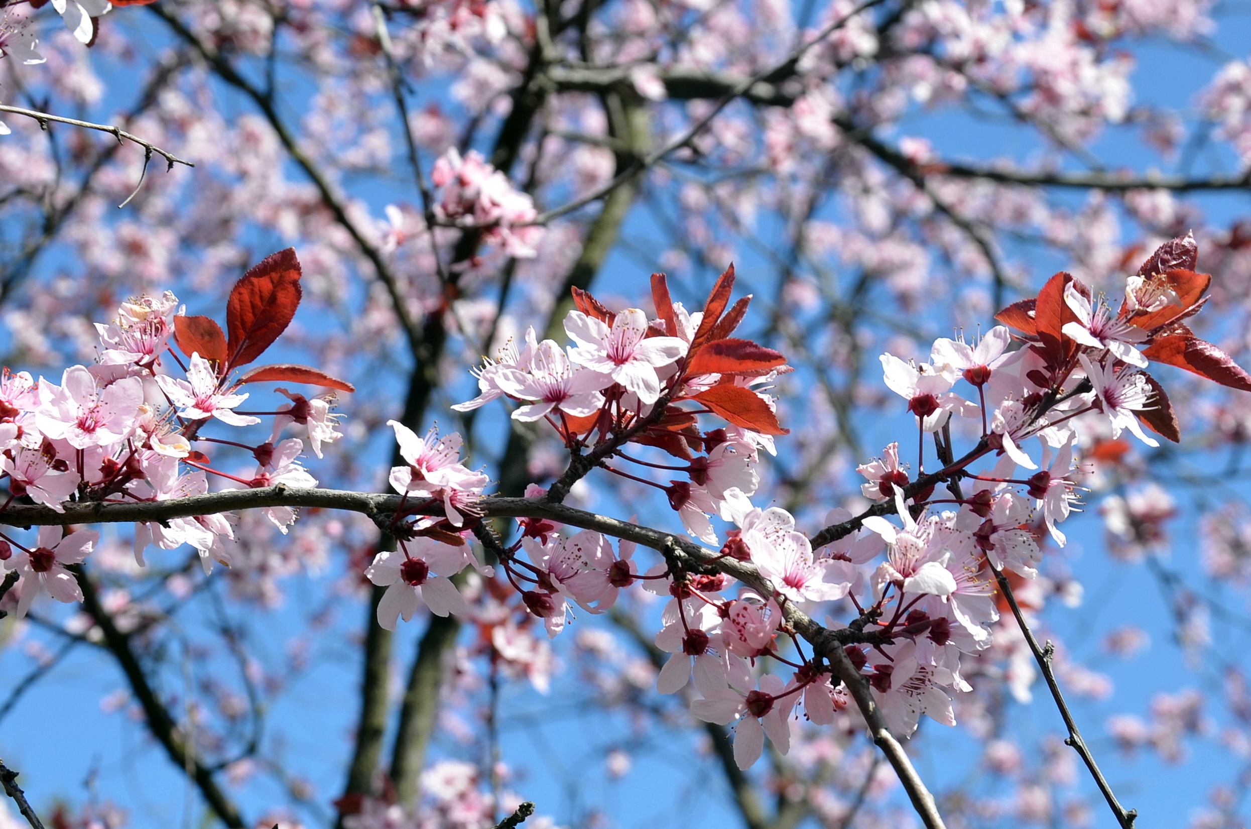 Синоптики розповіли, якою буде погода 23 квітня на Львівщині