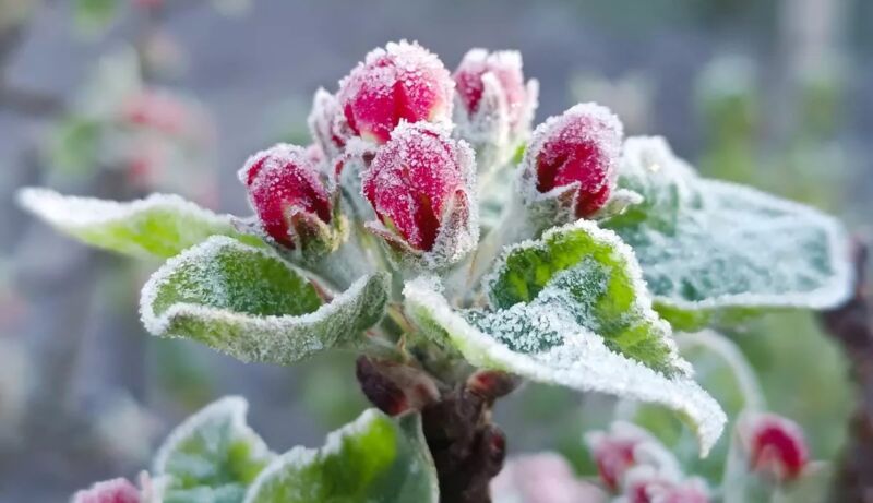 Другий день поспіль у Львові фіксують температурний рекорд