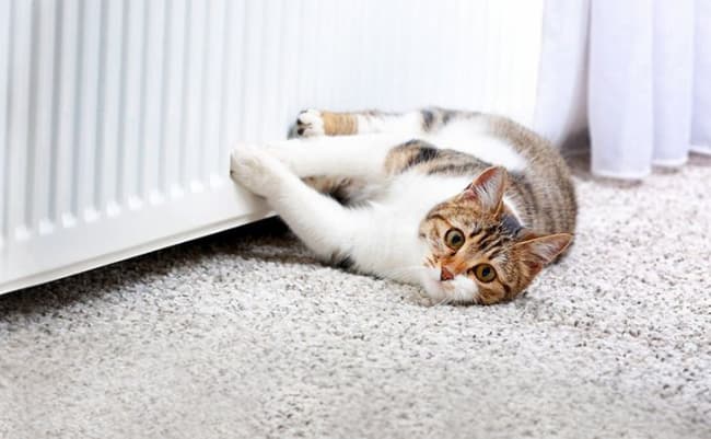 У Львові завершили опалювальний сезон