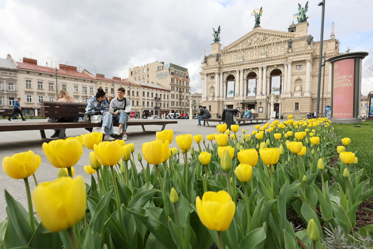 Майже 200 тисяч тюльпанів квітне у Львові: де можна побачити квіткові локації міста