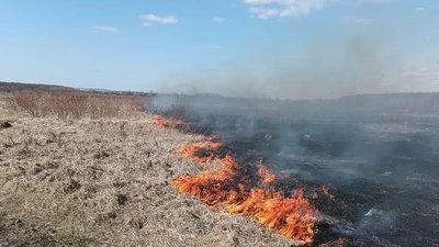 На Львівщині з початку травня вигоріло понад 40 гектарів землі через пожежі