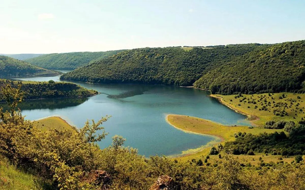 У Львівській області перевірили якість води в річках: де найгірші показники