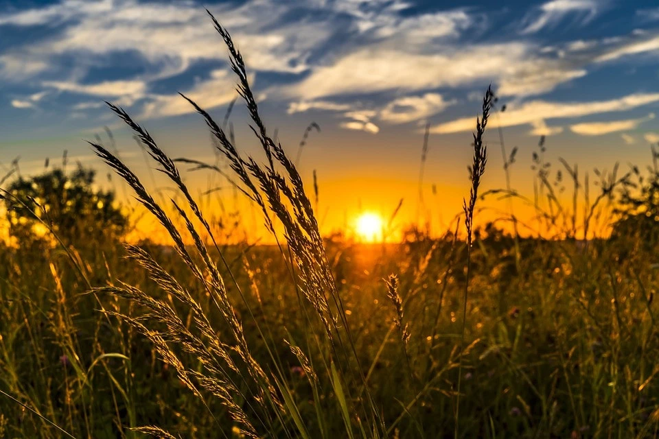 Спека до +33° і туман: якою буде недільна погода на Львівщині