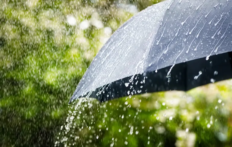 Дощ та до 26° тепла: якою буде погода сьогодні на Львівщині