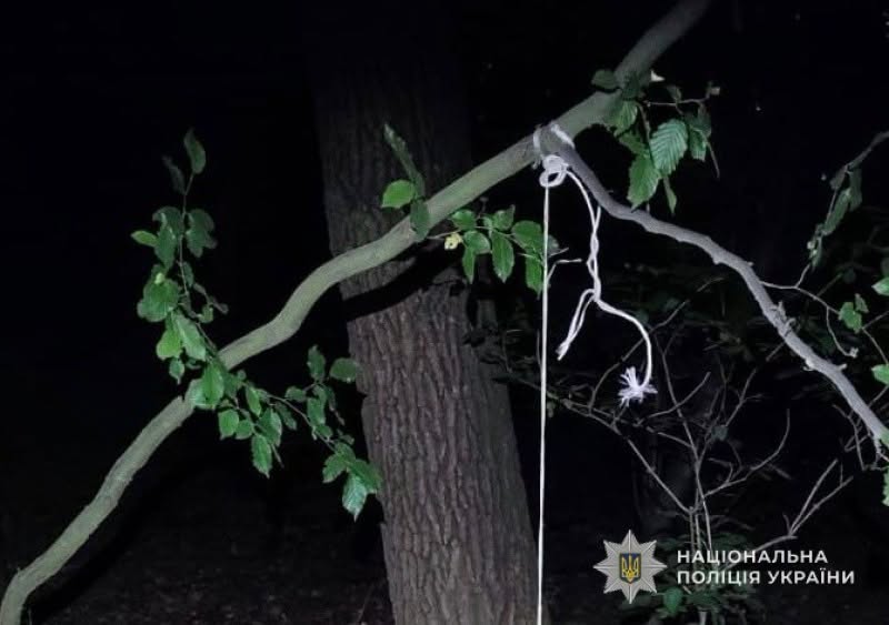 У Шептицькому районі 54-річний чоловік повісив сусідського собаку