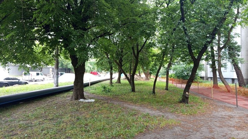 Під час реконструкції вулиці Гетьмана Мазепи висадять більше сотні дерев