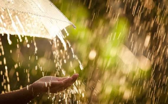 У понеділок на Львівщині прогнозують дощі, грози та сильний вітер