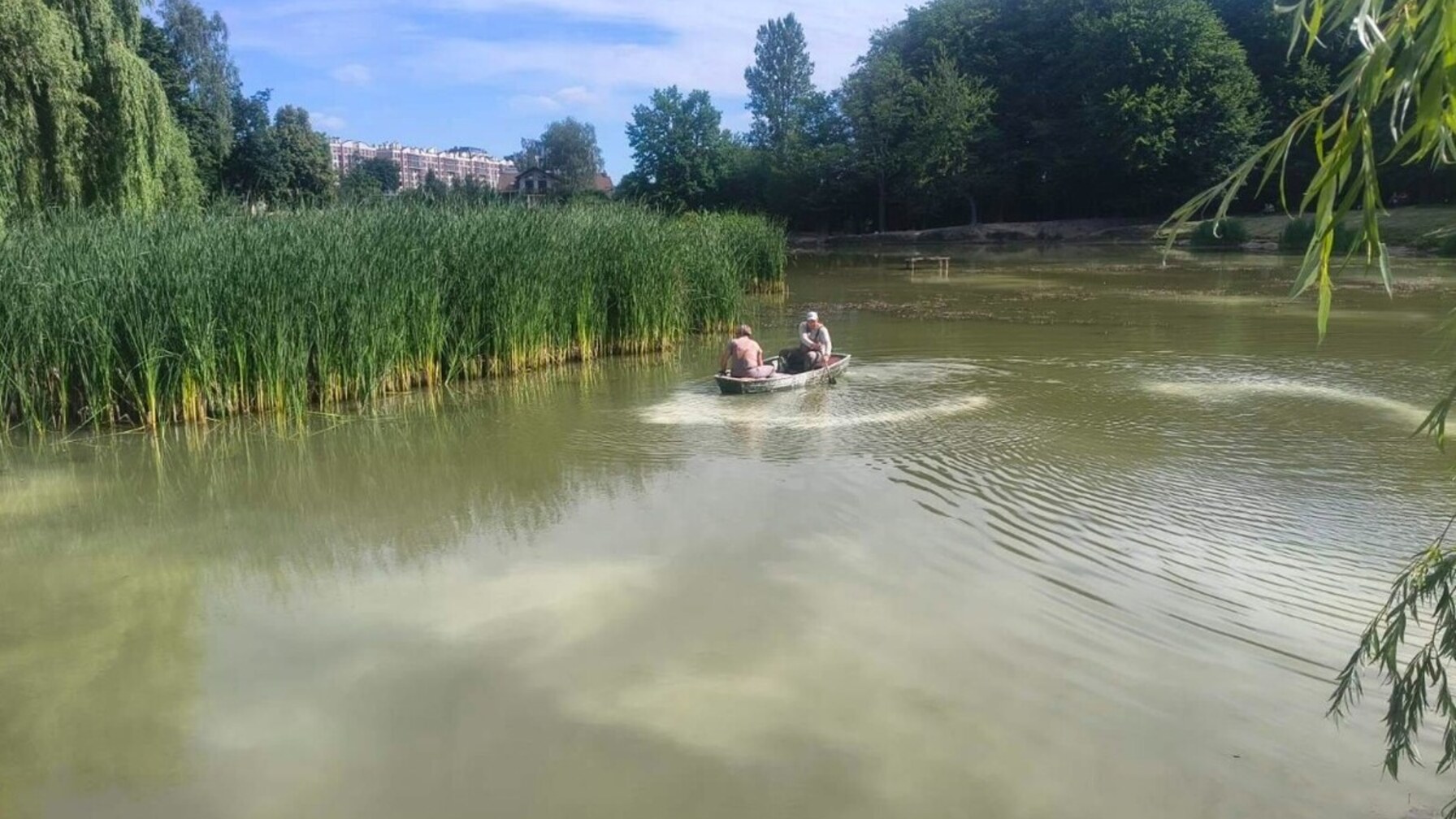 У львівських парках вапнують водойми