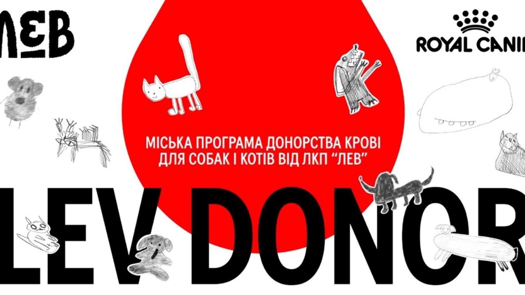 У Львові запрацює міська програма донорства крові для чотирилапих