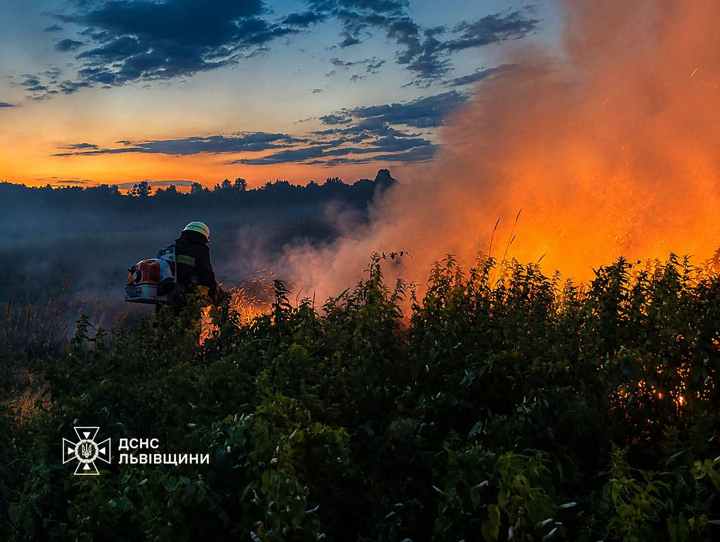 За добу на Львівщині вогнеборці ліквідували 29 пожеж та врятували від вогню 4 будівлі