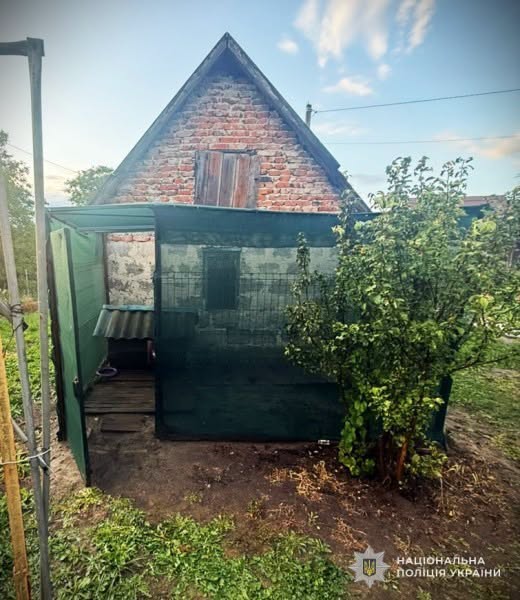 У Львові чоловік поранив собаку ножем і вилами: поліція відкрила кримінальне провадження
