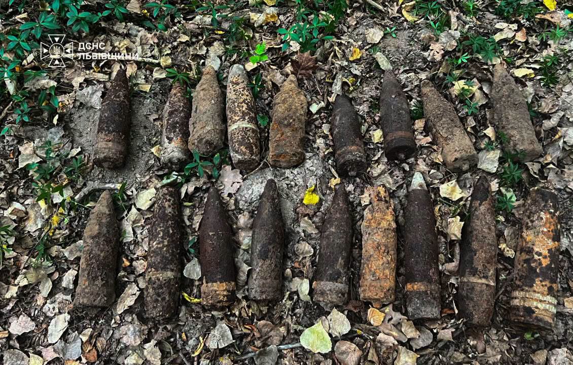 На Львівщині грибник знайшов 18 снарядів часів Другої світової війни