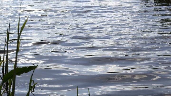 На Львівщині 16-річний хлопець захворів на лептоспіроз після купання у водоймі